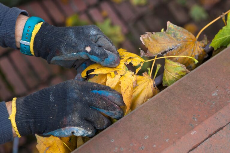 pulizia grondaie e pluviali