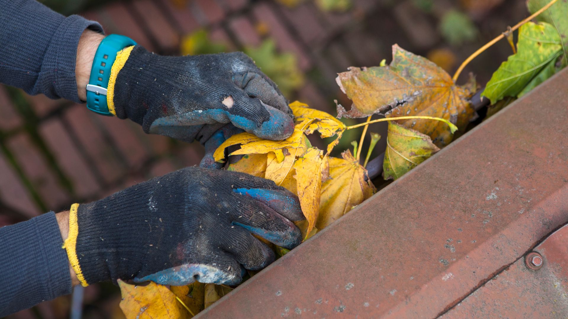 gcclean – pulizia grondaie e tombini pulizia grondaie e pluviali